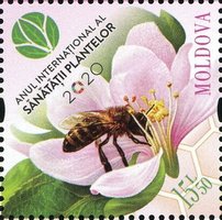 Бджола та квітка