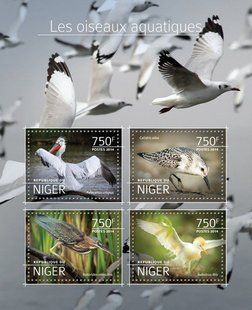 Aquatic birds