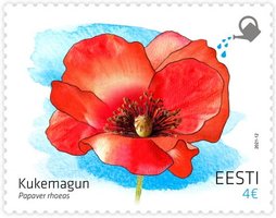 Poppy (stamp with seeds)