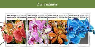 Orchids
