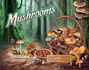 Fungi