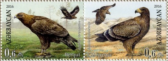Eagles Azerbaijan-Belarus