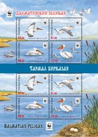 WWF Dalmatian pelican