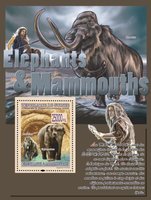 Elephants and mammoths