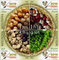 Year of legumes