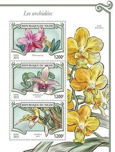 Orchids