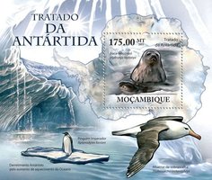 Antarctica. Fauna