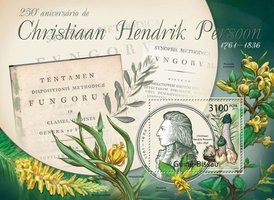 Ботаник Христиан Генрих Персон