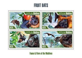 Fruit. Bats