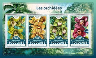 Orchids