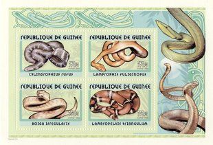 Snakes