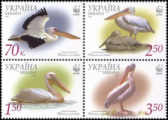 WWF Пеликаны