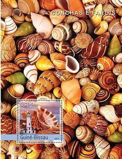 Shells and lighthouses