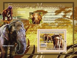Слони і мамонти