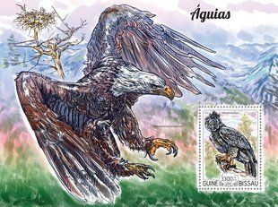 Eagles