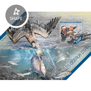 Aquatic birds
