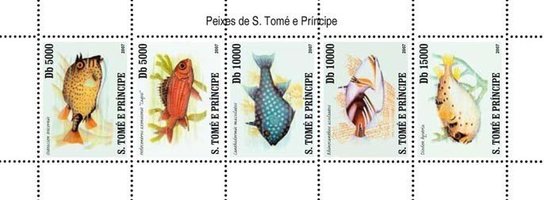 Fish of Sao Tome