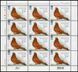 Pigeons