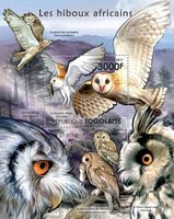 African owls
