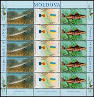 Молдова-Украина Рыбы