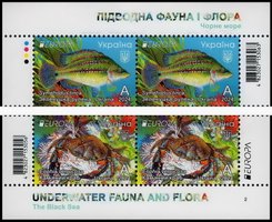 EUROPA. Underwater fauna and flora