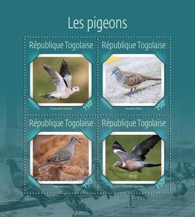 Pigeons