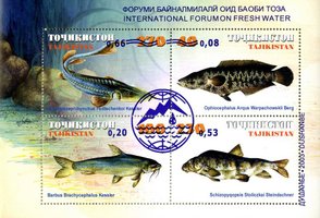 Freshwater Fish Overprint