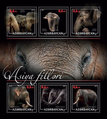 Own stamp. Elephants