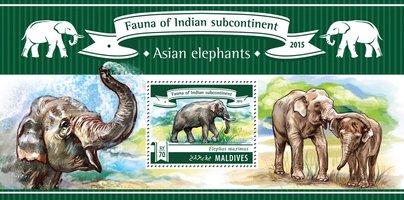 Азиатские слоны
