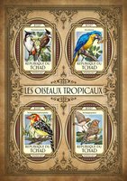 Тропічні птахи