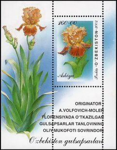 Квіти Іриси