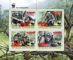WWF Надрук Мавпи