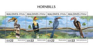 Hornbills