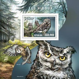Owls