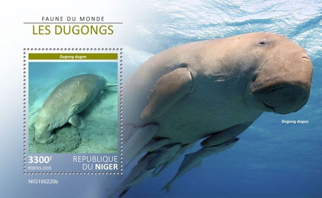 Dugongs