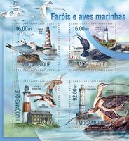 Lighthouses Birds