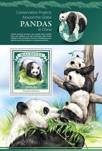Pandas