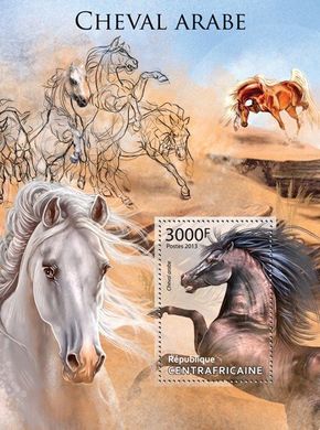 Арабські коні