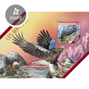 Predator birds