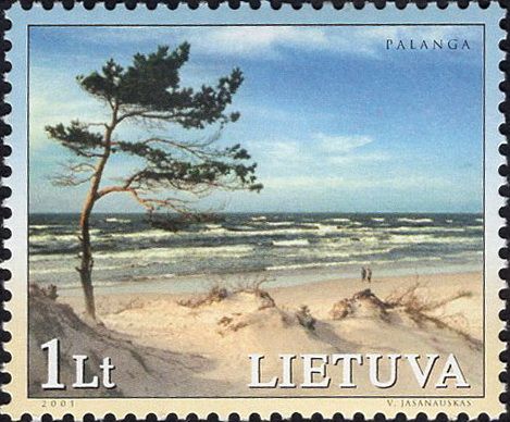 Baltic Uzbek coast