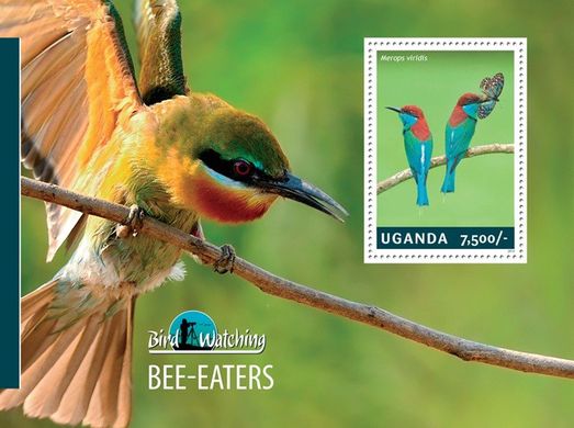 Bee-eater birds