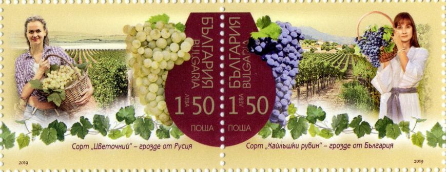 Болгария-Россия Виноделие (УФ)
