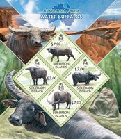 Водные буйволы