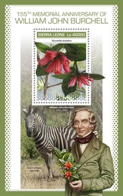 Botanist William John Burchell