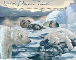 Polar bears and seals
