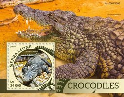 Крокодили