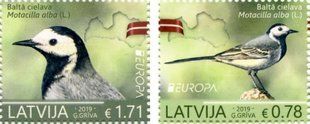 EUROPA Птахи