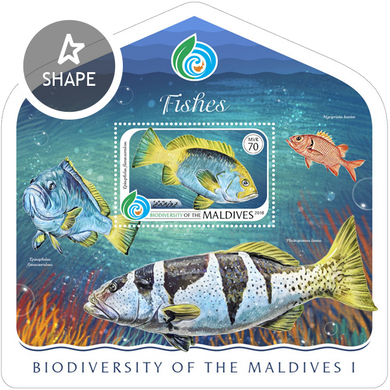 Biodiversity of the Maldives