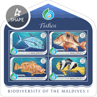 Биоразнообразие Мальдив