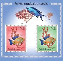 Tropical fish and corals
